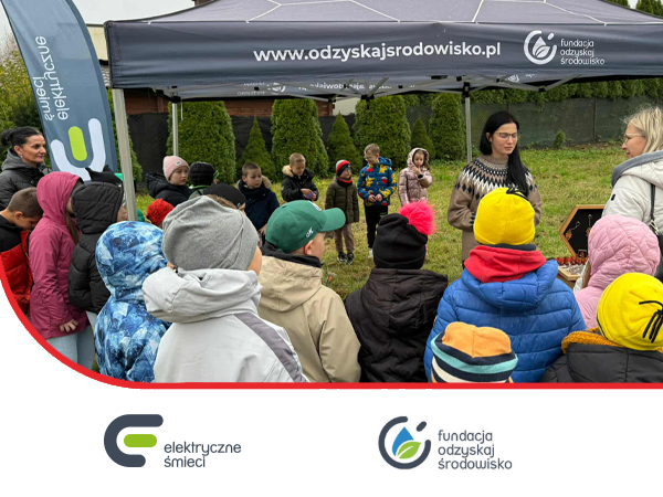 elektryczny las w elblągu